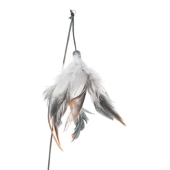 Cat toy Vote
