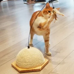 Cat toy Vote