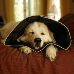 Comfy Cone Kaki