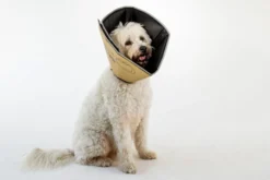 Comfy Cone Kaki