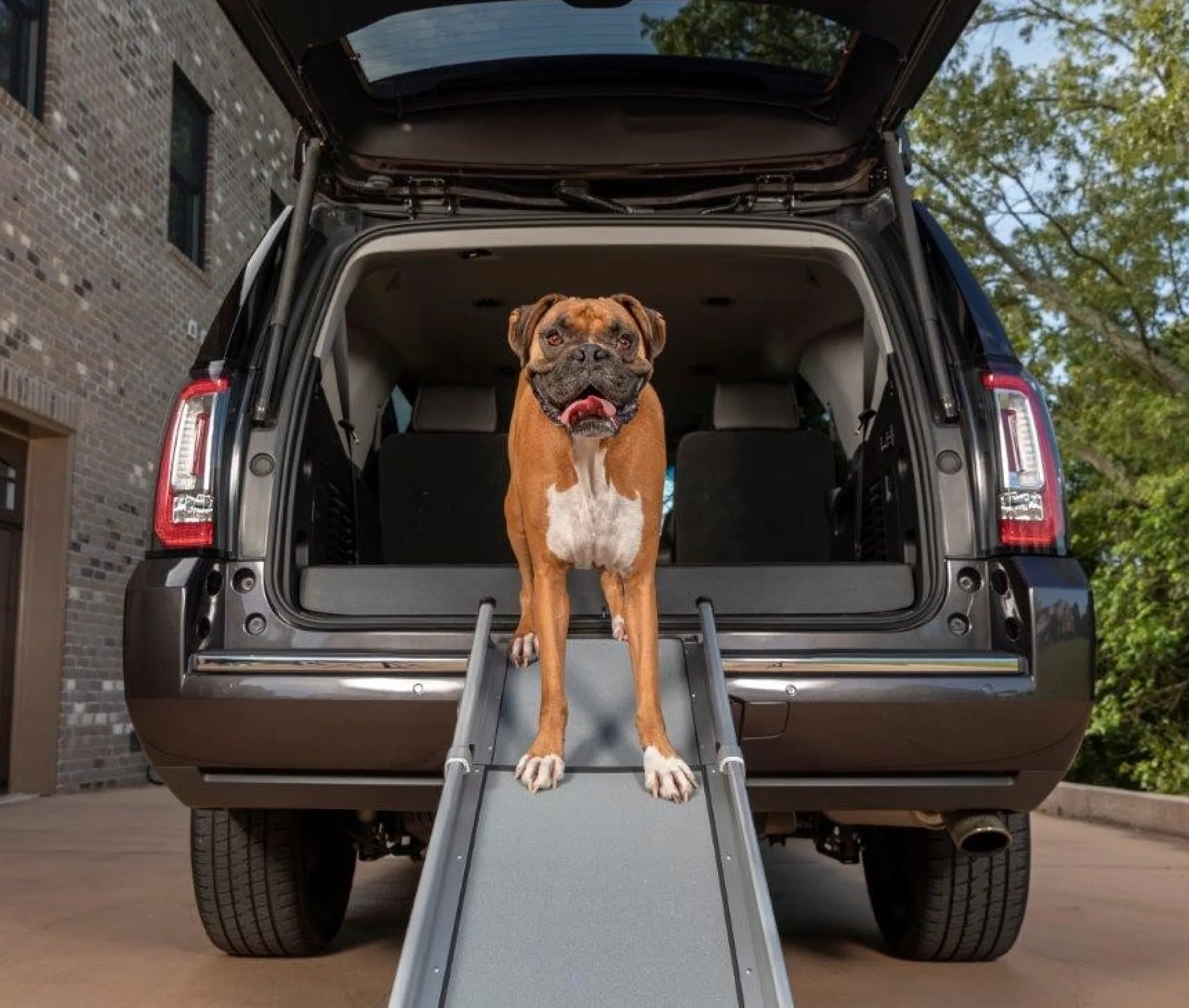 Compact telescoping dog Ramp- Tri-Scope
