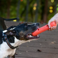 Dexas Offleash Tumbler