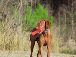 Dexas Offleash Tumbler