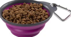Dexas Opvouwbaar Trainingstasje L