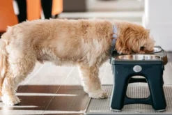 Dexas Pet Bowl Grippmat Lichtgrijs