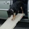 Dogstep Halfstep hondenloopplank