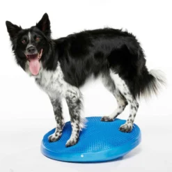 FitPAWS Balance Disc Blue (VP), 56 cm