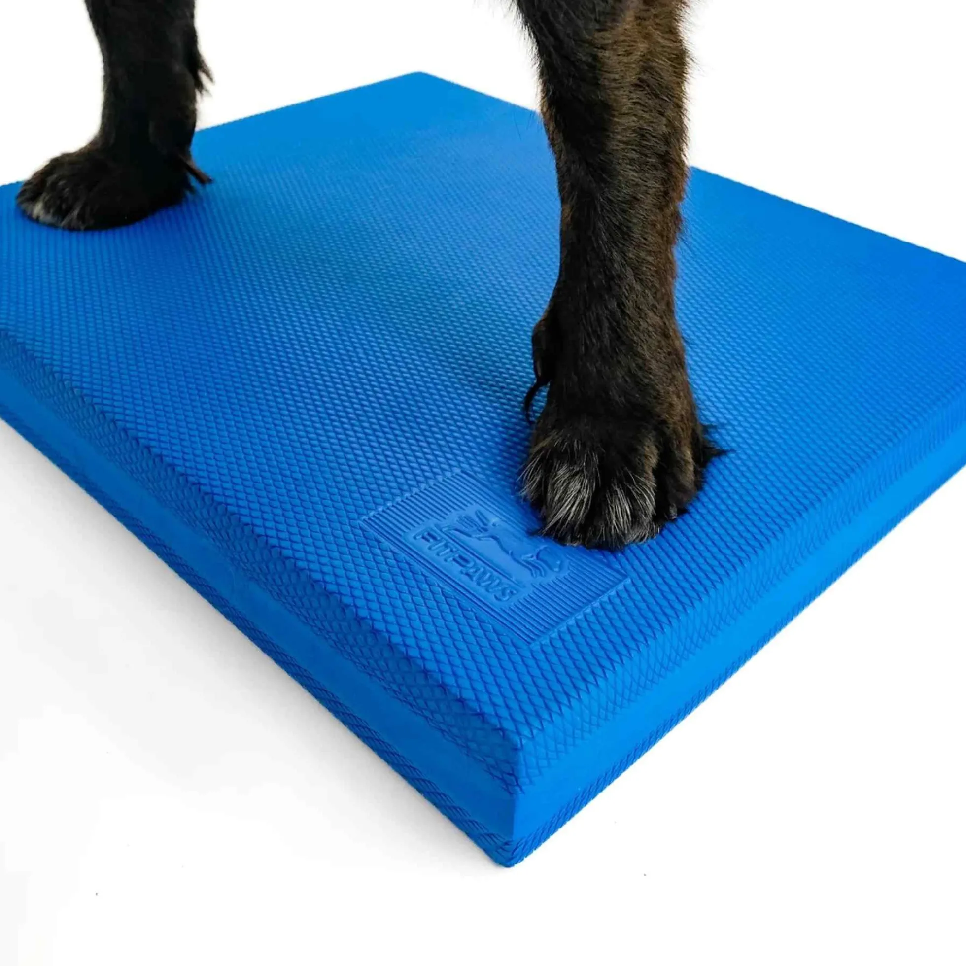 FitPAWS Balance Pad