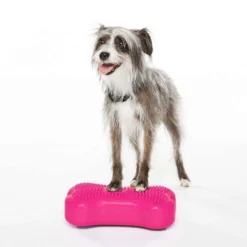 FitPAWS Bone Mini
