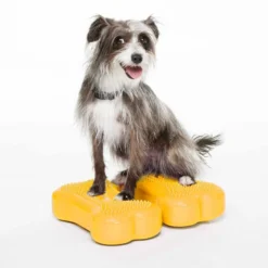 FitPAWS Bone Mini