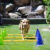 FitPAWS CanineGym Agility set