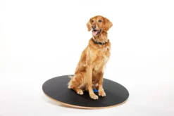 FitPAWS 50 cm Wobble Board (VP)