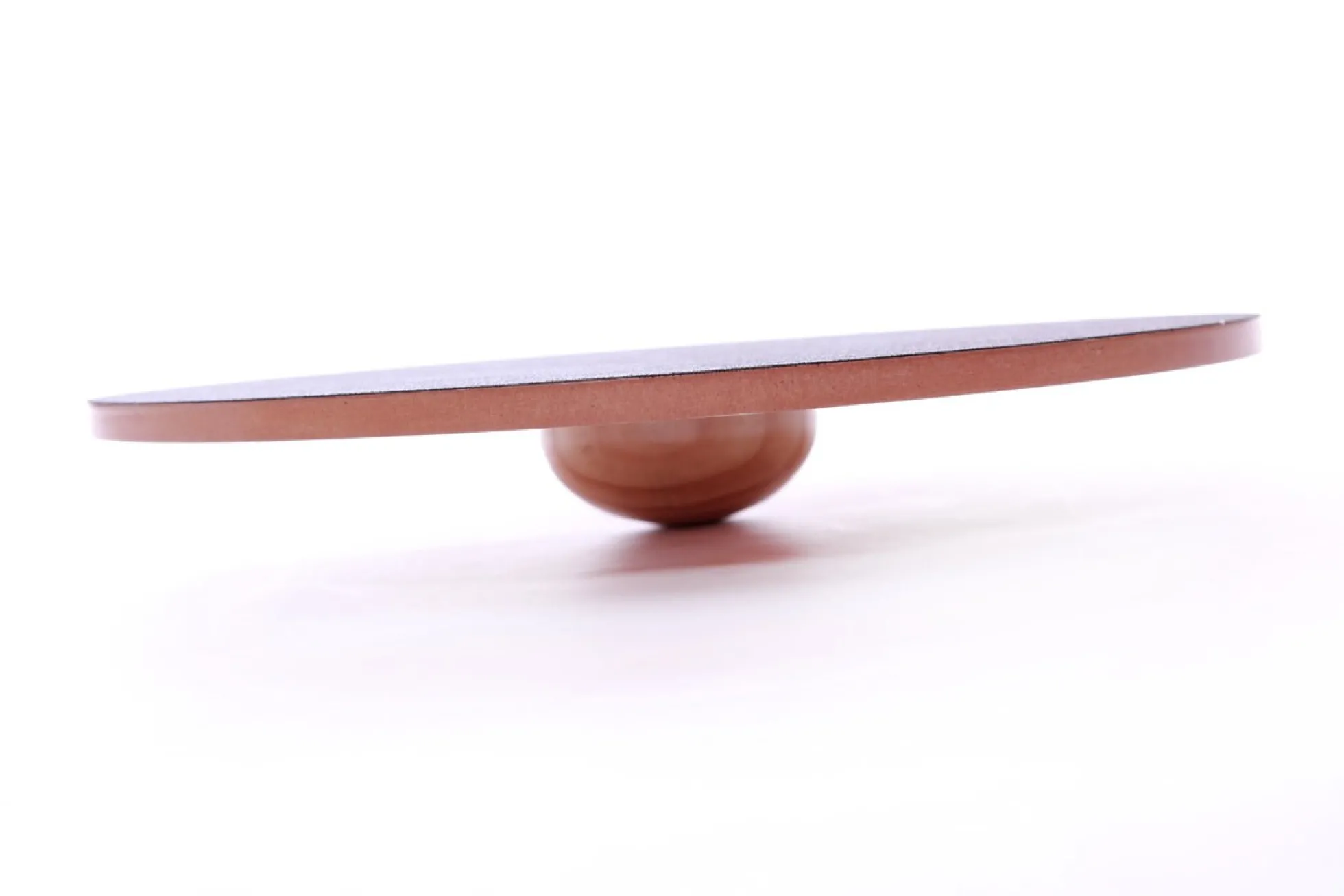 FitPAWS 50 cm Wobble Board (VP)
