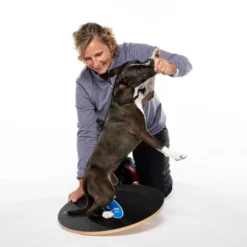 FitPAWS 50 cm Wobble Board (VP)