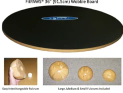 FitPAWS 50 cm Wobble Board (VP)
