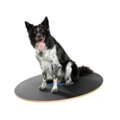 FitPAWS 50 cm Wobble Board (VP)