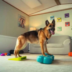 FitPAWS Dog Balance Ramp