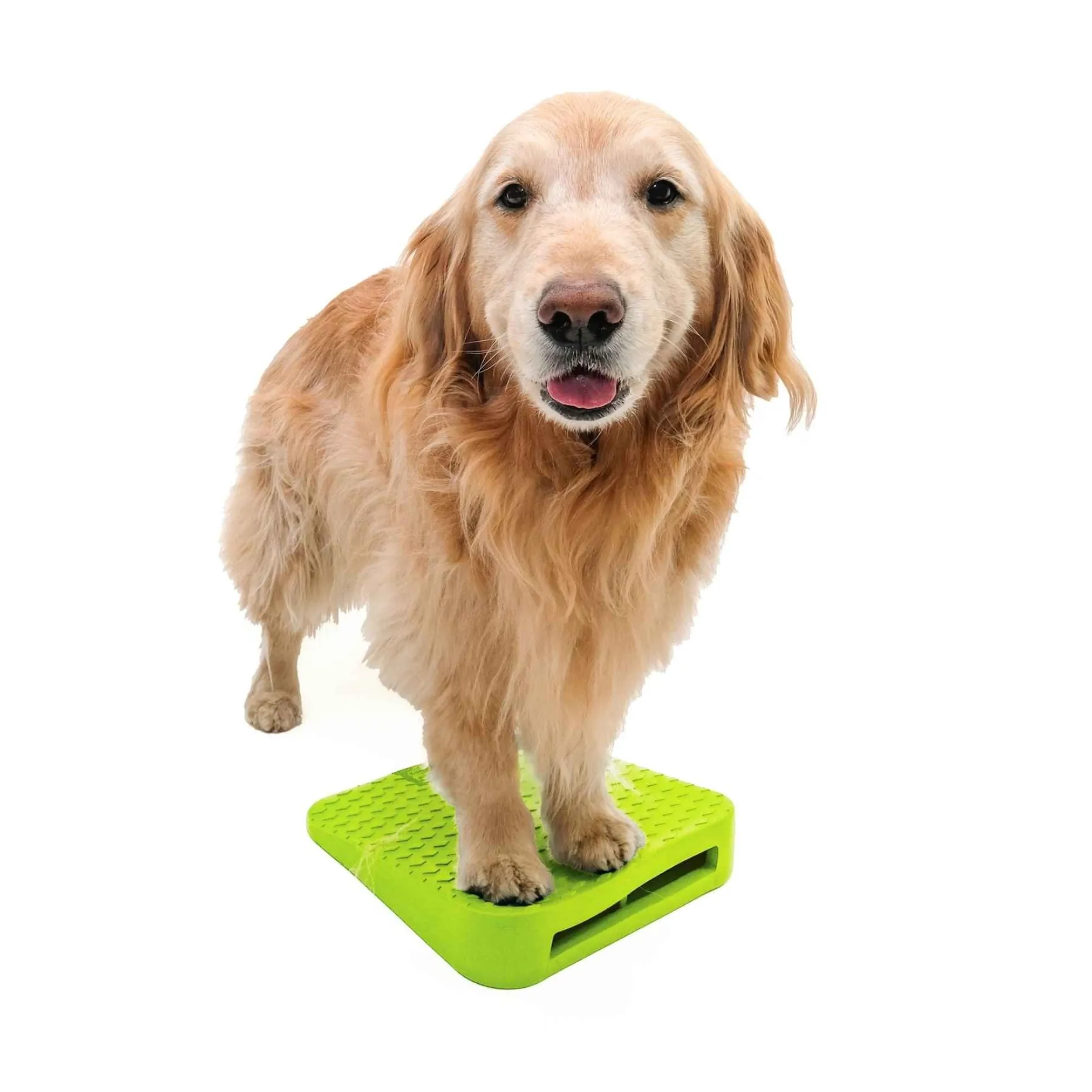 FitPAWS Dog Balance Ramp