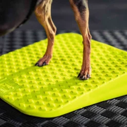 FitPAWS Dog Balance Ramp