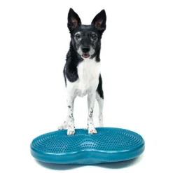 FitPAWS Duo Disc
