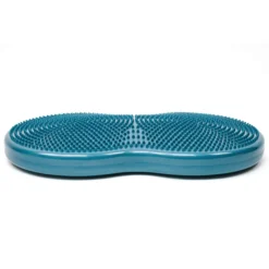 FitPAWS Duo Disc