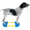FitPAWS FitKinect 360