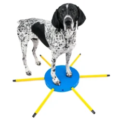 FitPAWS FitKinect 360