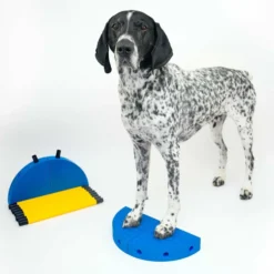 FitPAWS FitKinect 360