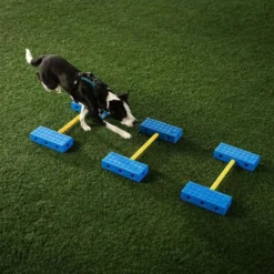 FitPaws FitKinect Core