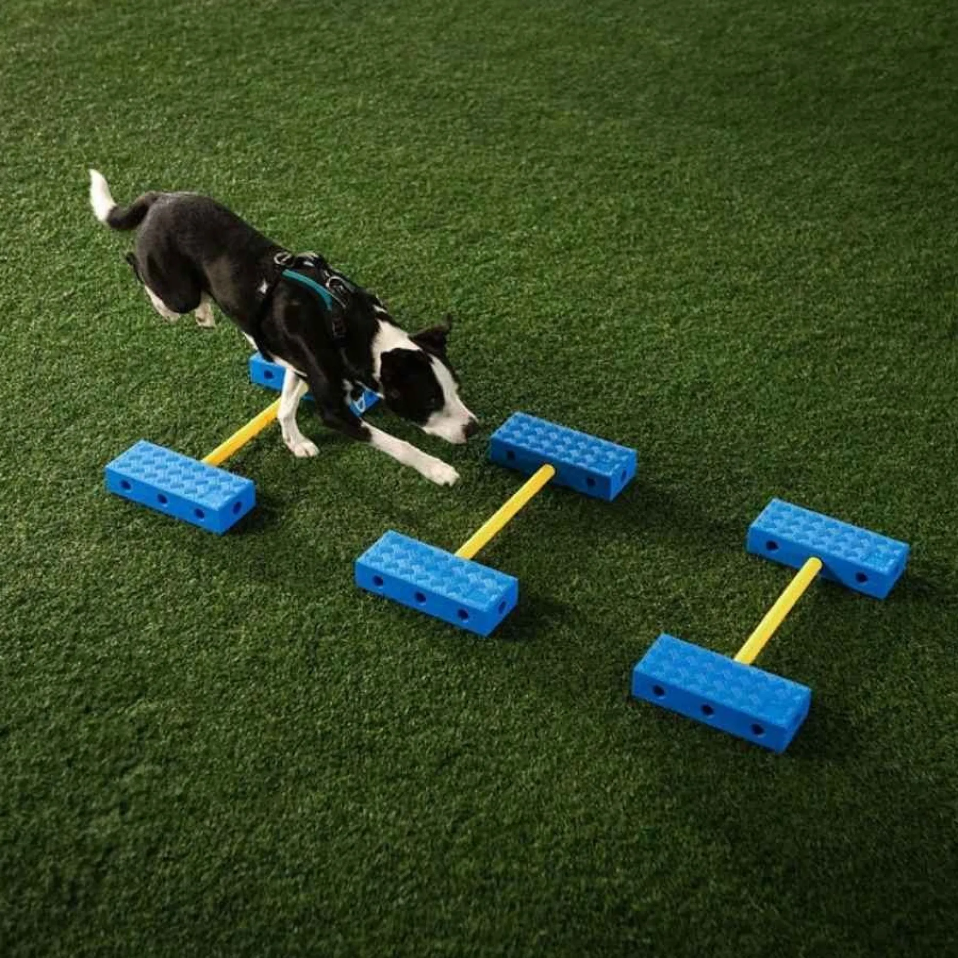 FitPaws FitKinect Core