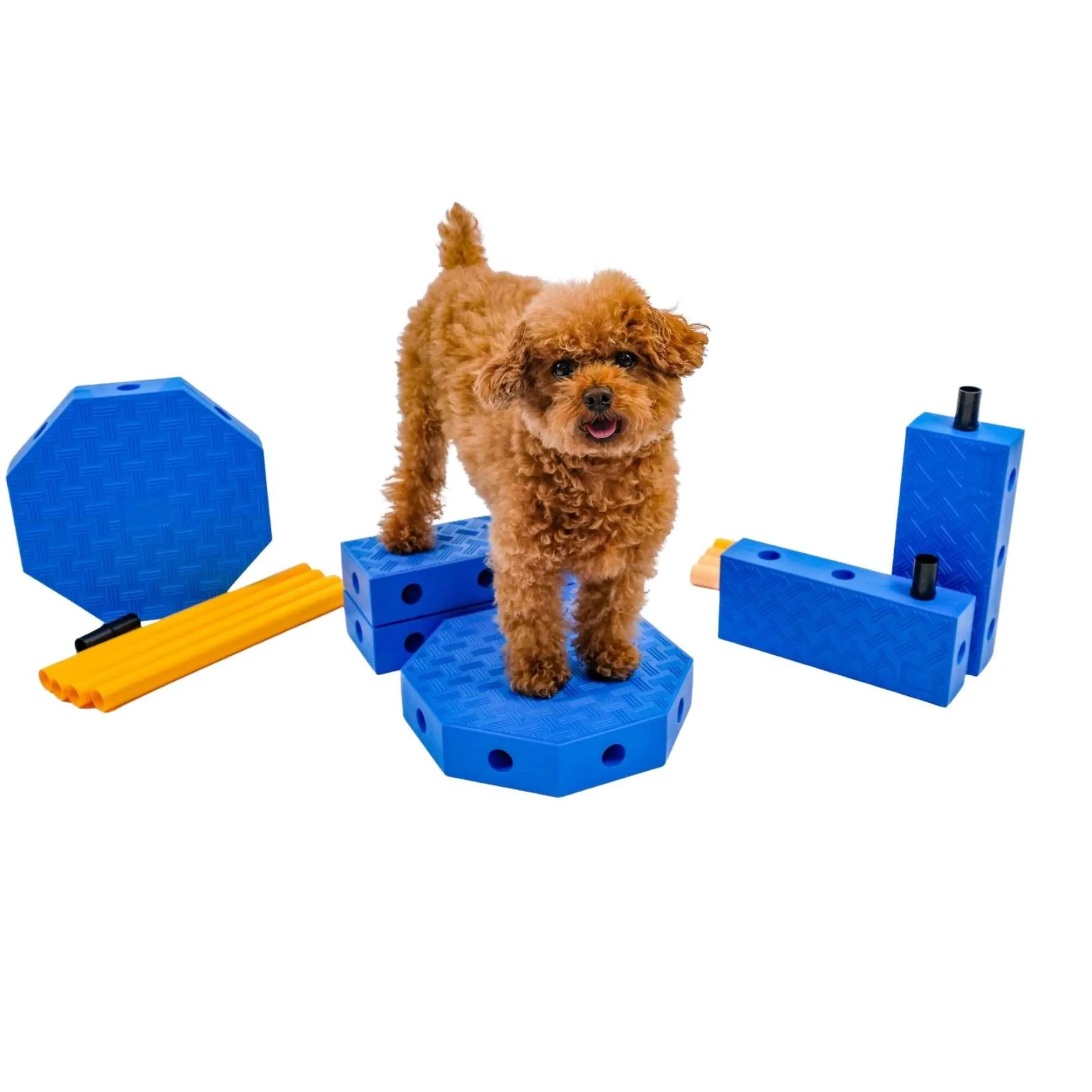 FitPaws FitKinect Core