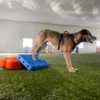 FitPaws FitKinect Upgrade Kit - Rechthoek