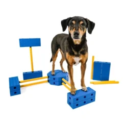 FitPAWS FitKinect Xtra