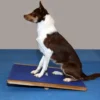 FitPAWS Giant Rocker Board