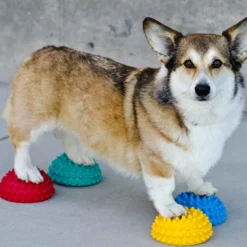 FitPAWS Paw Pods