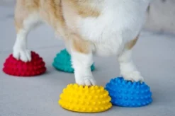 FitPAWS Paw Pods