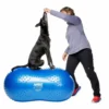 FitPAWS Peanut Blue trax