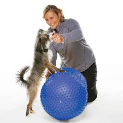FitPAWS Peanut Blue trax