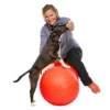 FitPAWS Peanut Red trax