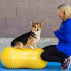 FitPAWS Peanut Yellow trax