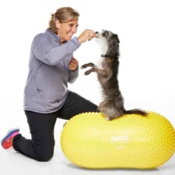 FitPAWS Peanut Yellow trax