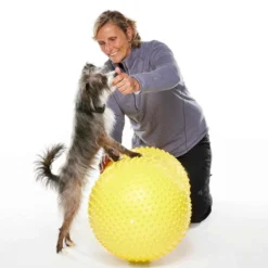 FitPAWS Peanut Yellow trax
