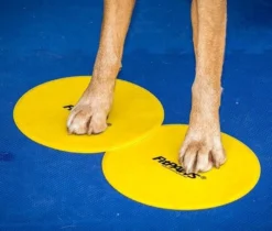 FitPAWS Targets