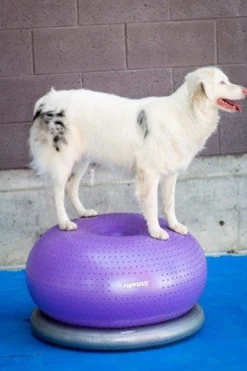 FitPAWS Trax Donut Purple