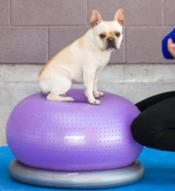FitPAWS Trax Donut Purple