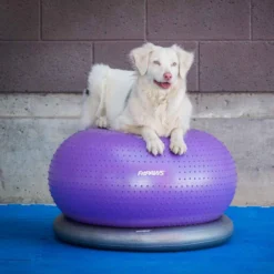 FitPAWS Trax Donut Purple