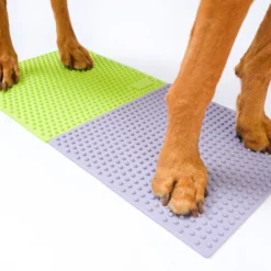 FitPaws TRAX Targets Periwinkle – Set van 2
