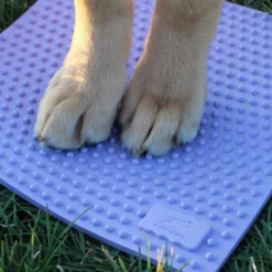 FitPaws TRAX Targets Periwinkle – Set van 2