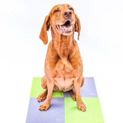FitPaws TRAX Targets Tennis – Set van 2
