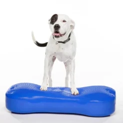 Giant K9Fitbone